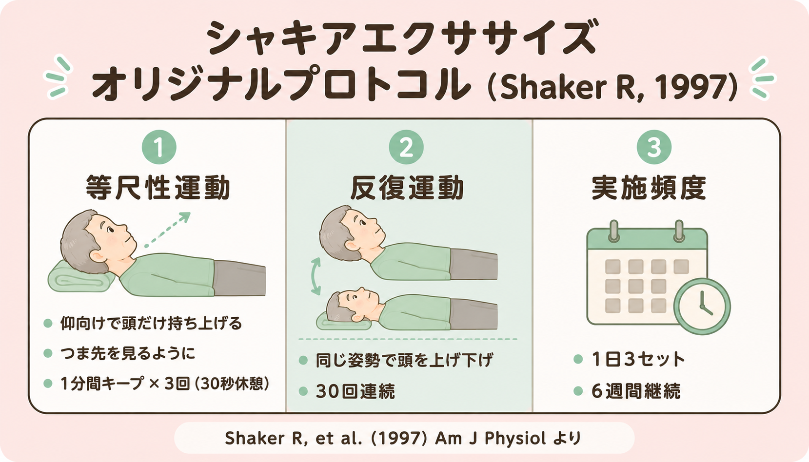 シャキアエクササイズのオリジナルプロトコル図解：等尺性運動1分×3回＋反復運動30回×1日3セット×6週間（Shaker R, 1997より）